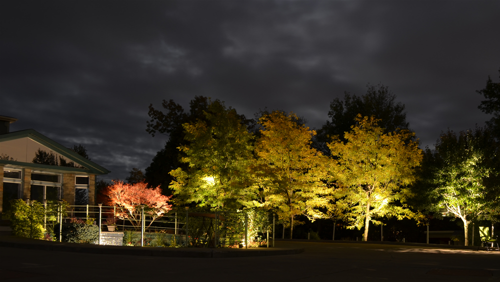 Outdoor Lighting Types & Techniques Buffalo NY & WNY