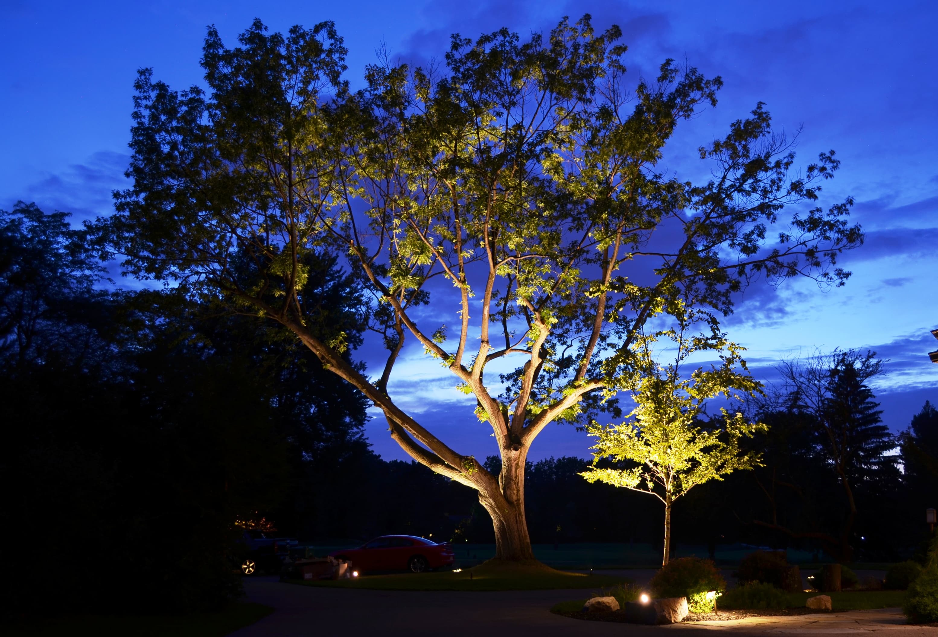 Landscape lighting — miscellaneous project 12