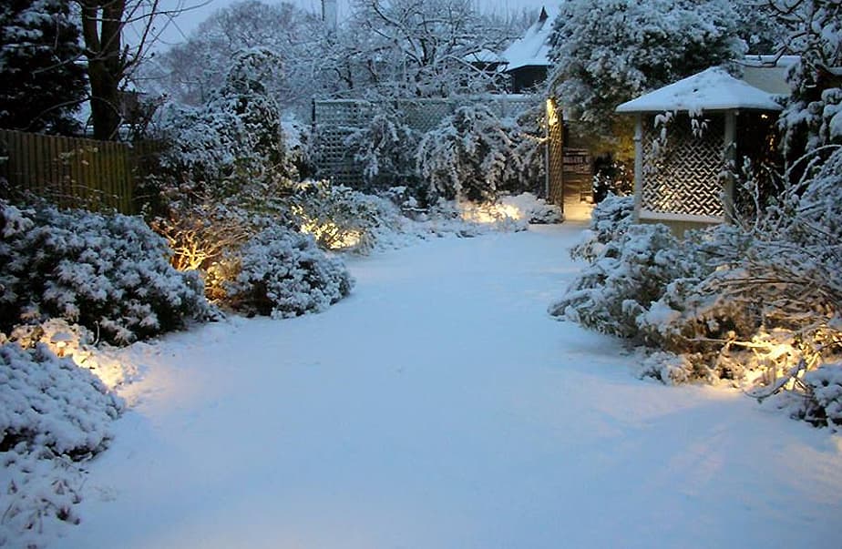 Landscape lighting — miscellaneous project 13
