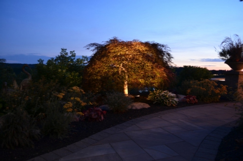 Outdoor lighting system designed by LightScapes of WNY