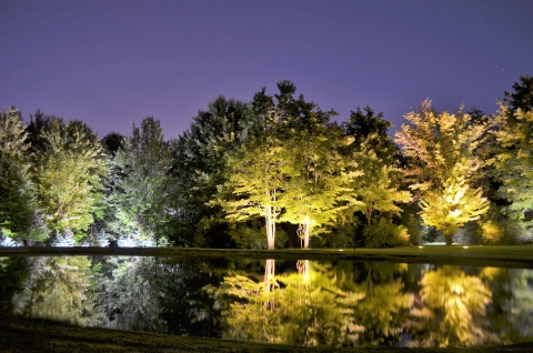 Outdoor lighting system designed by LightScapes of WNY