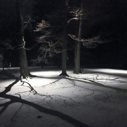 Outdoor lighting system designed by LightScapes of WNY