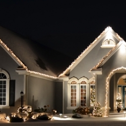 Holiday lights