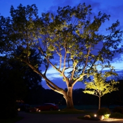 Outdoor lighting system designed by LightScapes of WNY