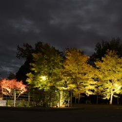 Outdoor lighting system designed by LightScapes of WNY