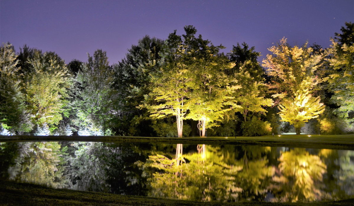 Lighted trees reflected in water